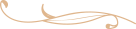final Bottom line icon